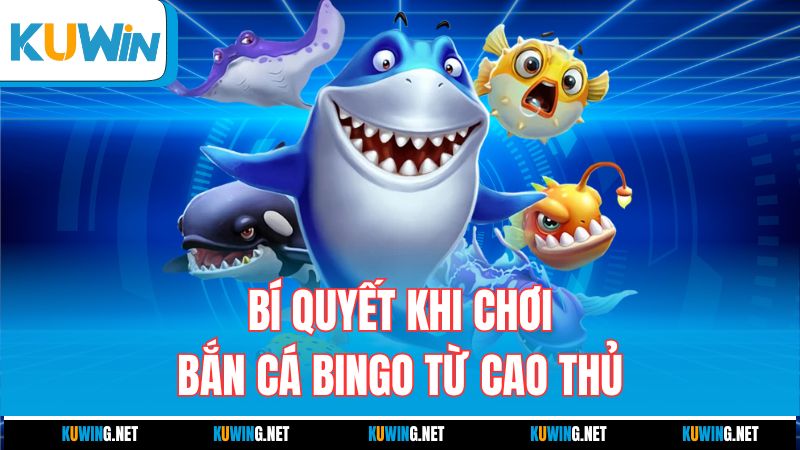bi-quyet-khi-choi-ban-ca-bingo-tu-cao-thu