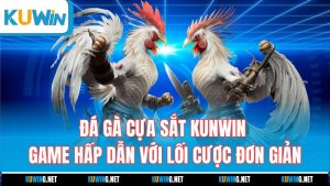da-ga-cua-sat-kunwin-game-hap-dan-voi-loi-cuoc-don-gian