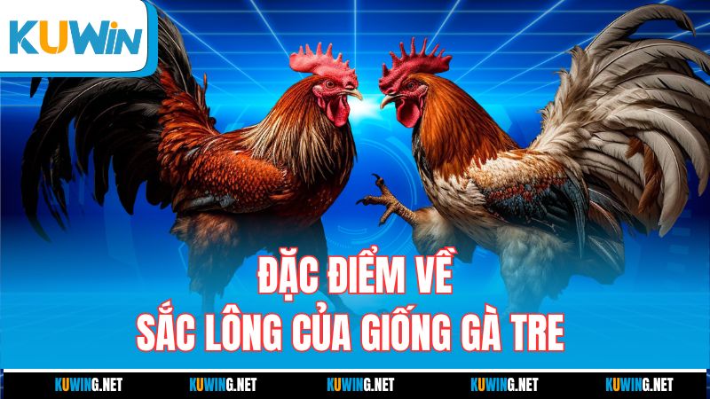dac-diem-ve-sac-long-cua-giong-ga-tre