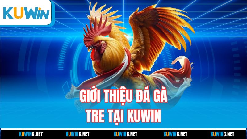 gioi-thieu-da-ga-tre-tai-kuwin