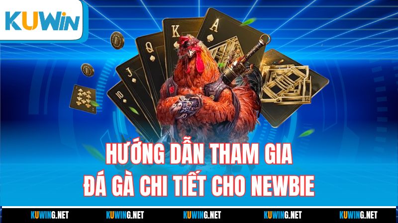 huong-dan-tham-gia-da-ga-chi-tiet-cho-newbie