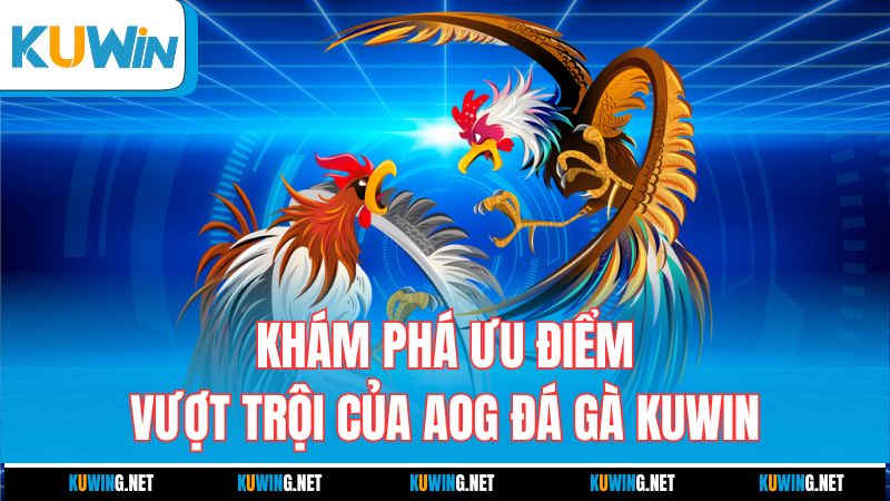 kham-pha-uu-diem-vuot-troi-cua-aog-da-ga-kuwin