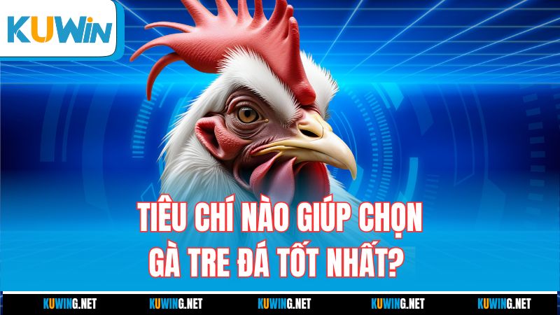 tieu-chi-nao-giup-chon-ga-tre-da-tot-nhat