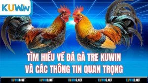 tim-hieu-ve-da-ga-tre-kuwin-va-cac-thong-tin-quan-trong