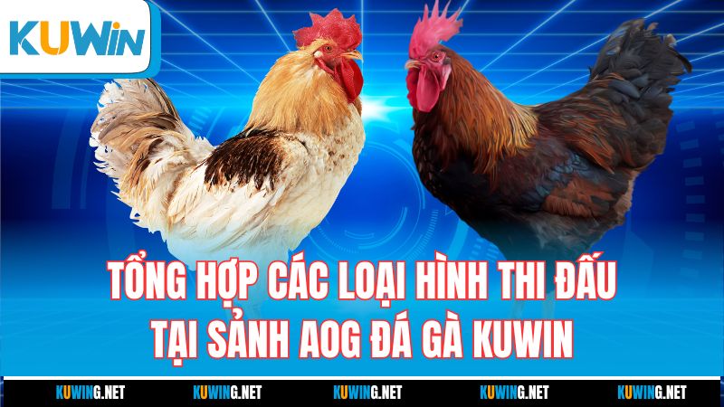 tong-hop-cac-loai-hinh-thi-dau-tai-sanh-aog-da-ga-kuwin
