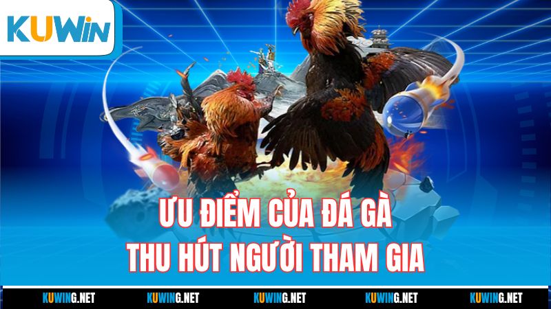 uu-diem-cua-da-ga-thu-hut-nguoi-tham-gia