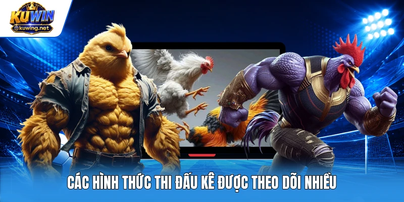 Các hình thức thi đấu kê được theo dõi nhiều