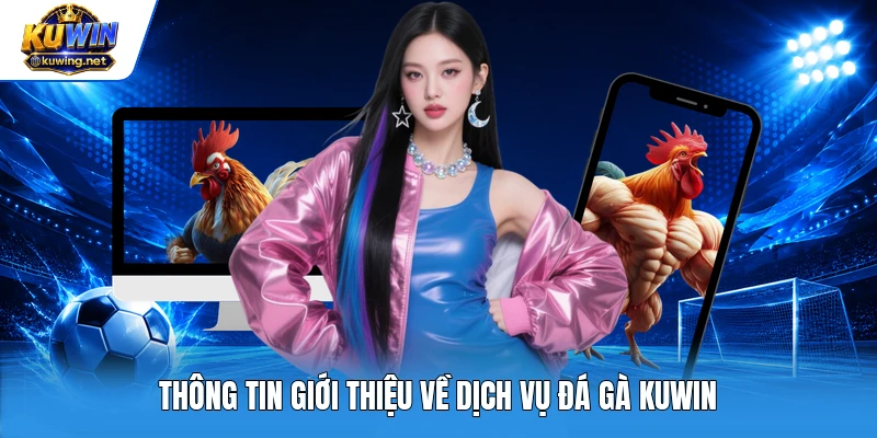Thông tin giới thiệu về dịch vụ đá gà Kuwin